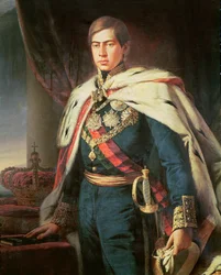 Koning Peter V (1837-61) van Portugal (detail)